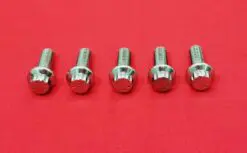 1981 & Up Show Polished Grade 8 ARP Stainless Rear Brake Rotor Bolt Kit