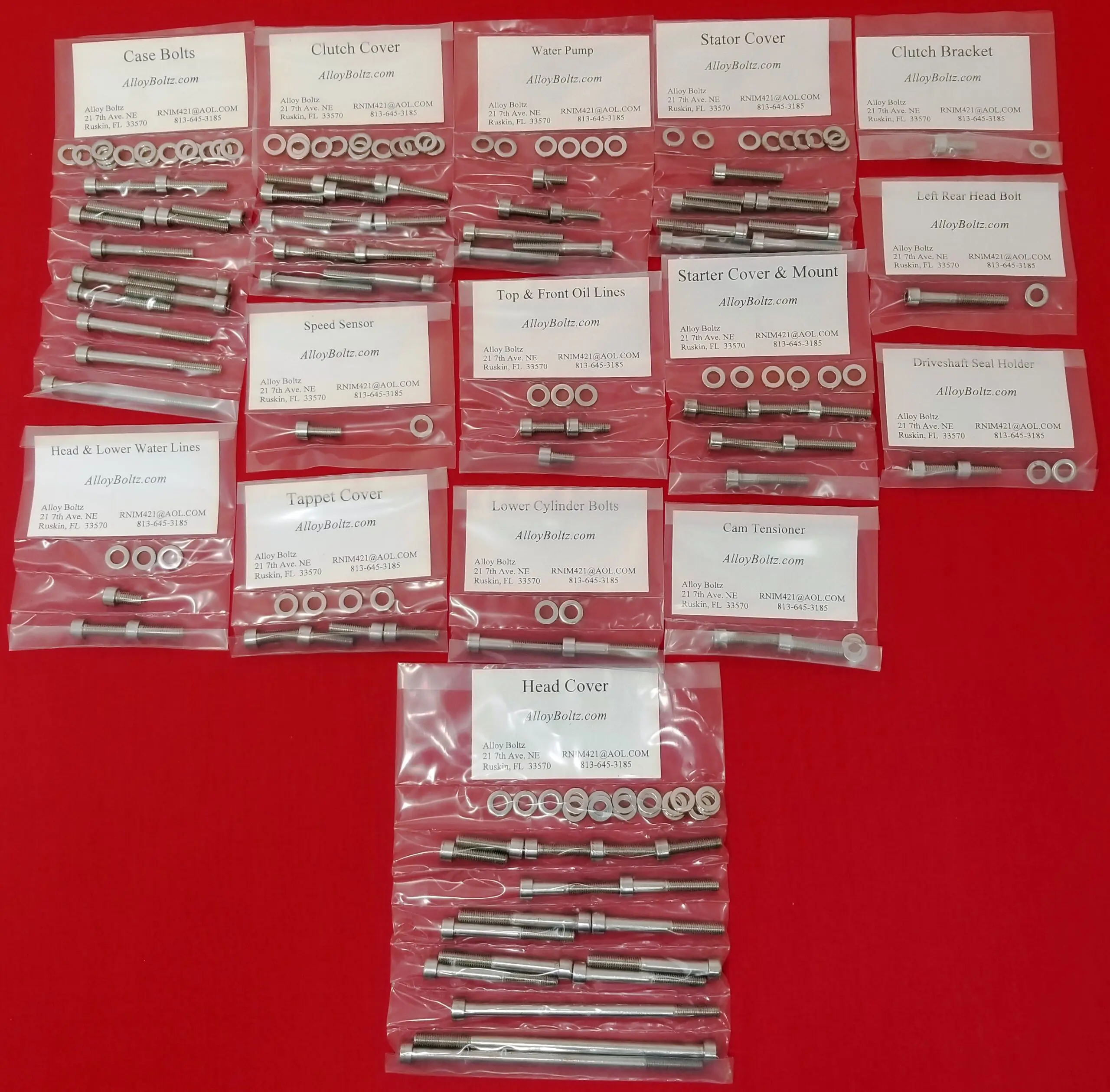 Yamaha YFM660 Raptor Polished Stainless Steel Engine Only Bolt Kit