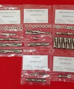 HONDA 1998-2003 VT750 SHADOW Polished Stainless Steel Engine Bolt Kit Set