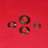 5/16 Stainless Split Lock Washer