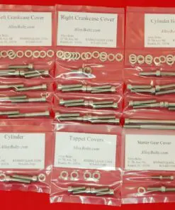1985-1987 ATC250ES Big Red Polished Stainless Steel Engine Only Bolt Kit