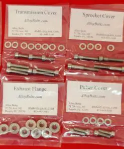 KAWASAKI 1994-1997 NINJA STREET FIGHTER ZX-9R ZX900 Polished Stainless Steel Engine Bolt Kit Set