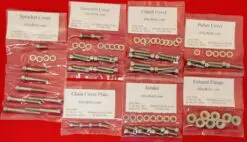 KAWASAKI 1998-2003 NINJA STREET FIGHTER ZX-9R ZX900 Polished Stainless Steel Engine Bolt Kit Set