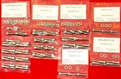 INDIAN 2015 & UP SCOUT Polished Stainless Steel Engine Bolt Kit Set