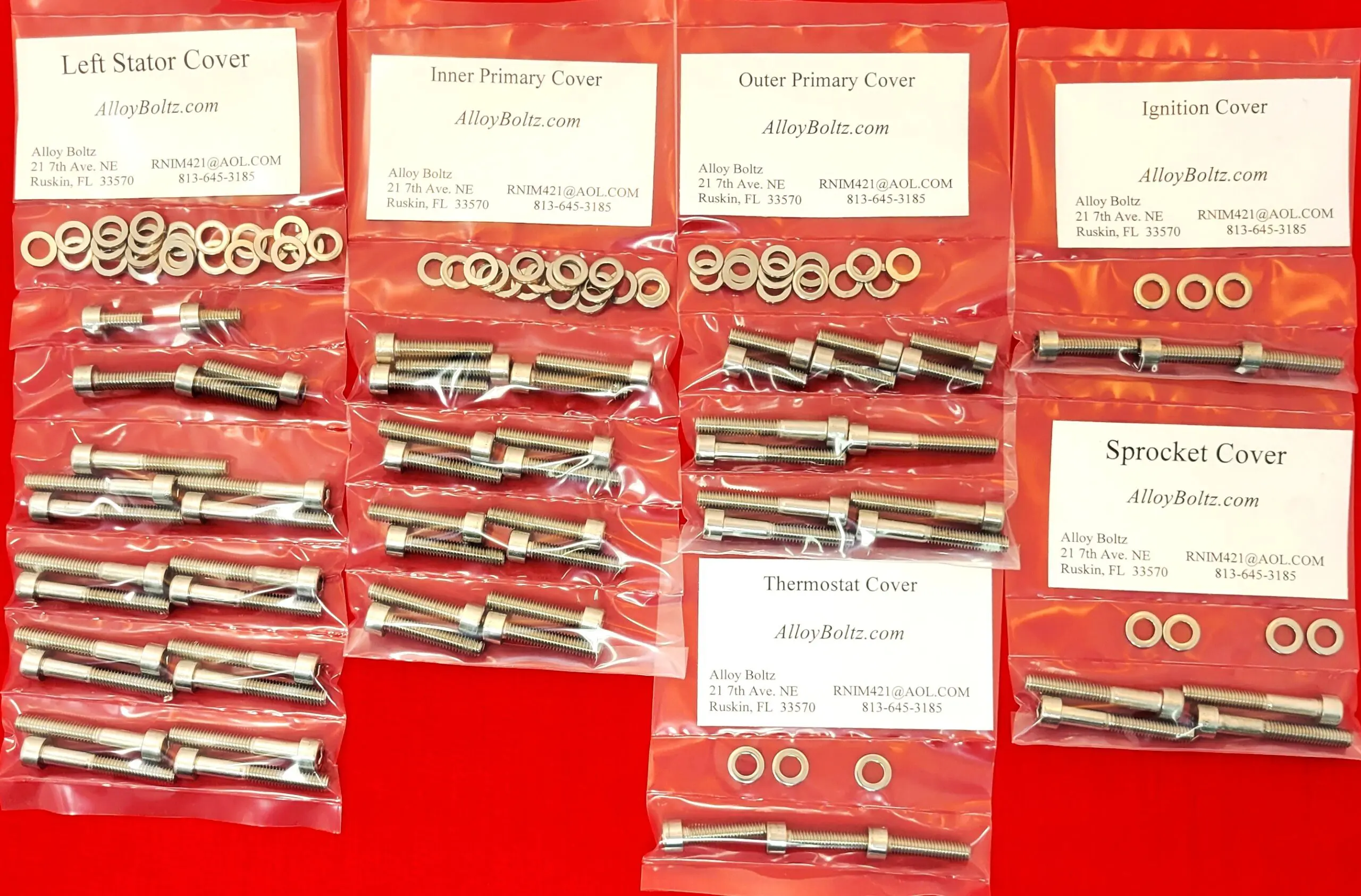 INDIAN 2015 & UP SCOUT Show Polished Stainless Steel Engine Bolt Kit Set