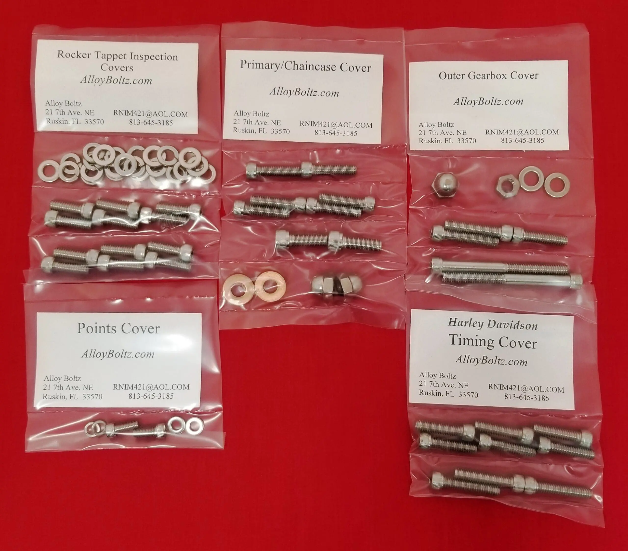 TRIUMPH 1968-1983 T120, TR6, T140, TR7 Polished Stainless Steel Engine Bolt Kit Set