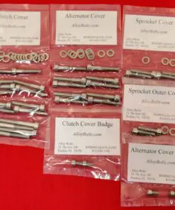 TRIUMPH 2016 & UP BONNEVILLE T120, BONNEVILLE BLACK, BONNEVILLE BOBBER, SCRAMBLER, THRUXTON Polished Stainless Steel Engine Bolt Kit Set