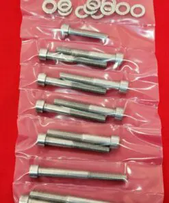 Yamaha YFS200 Blaster Polished Stainless Steel ATV Crankcase Halves Bolt Kit