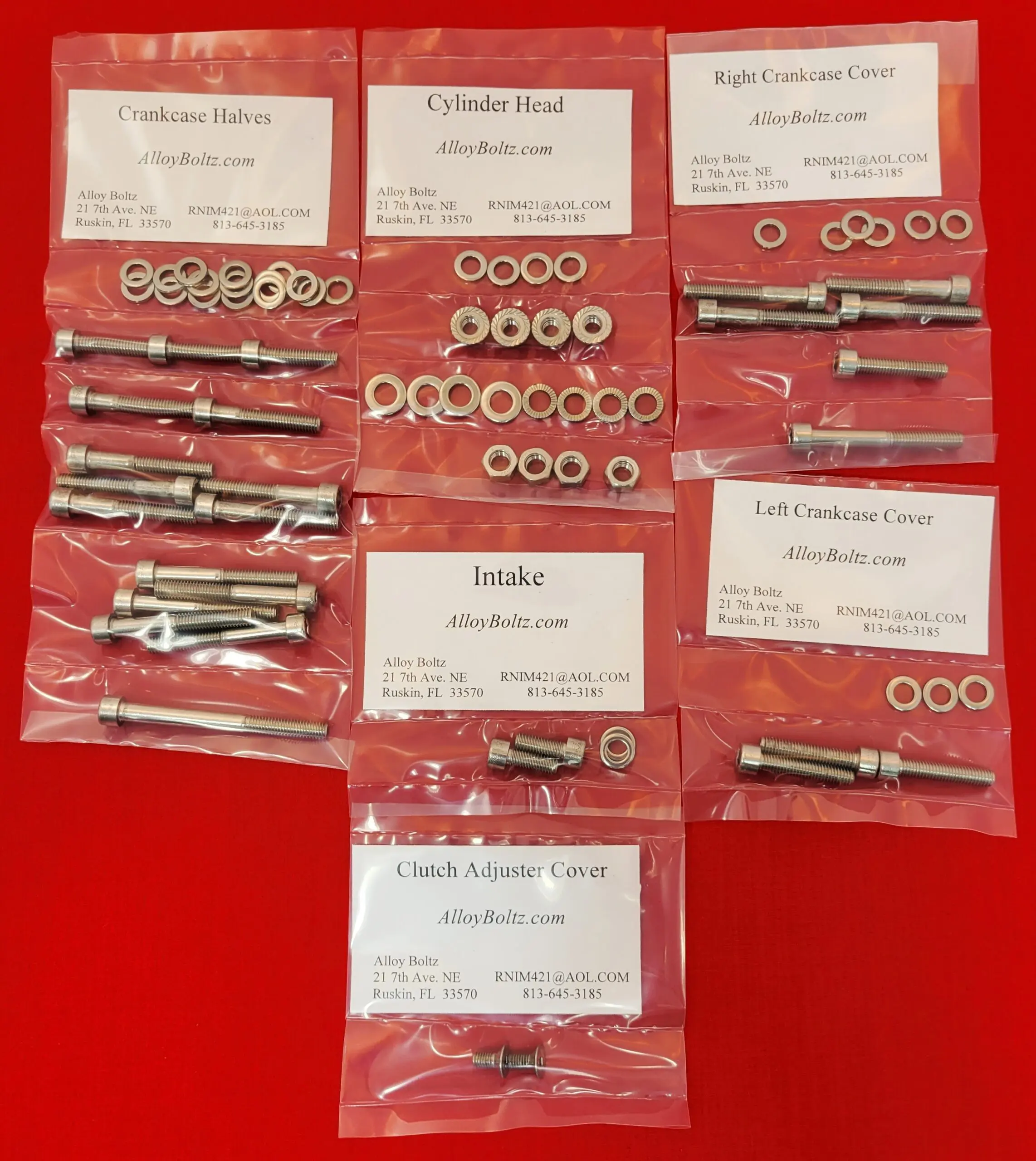 Harley Aermacchi Leggero M-50 M-65 Polished Stainless Steel Engine Bolt Screw Kit Set