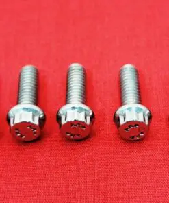 1999-2013 Dyna Timing Cover Polished Stainless Steel ARP 12pt Bolt Kit