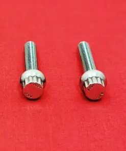 1987-1999 FXR EVO Timing Cover Polished Stainless Steel ARP 12pt Bolt Kit