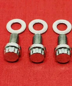 1987-1999 Touring Derby Cover Polished Stainless Steel ARP 12pt Bolt Kit