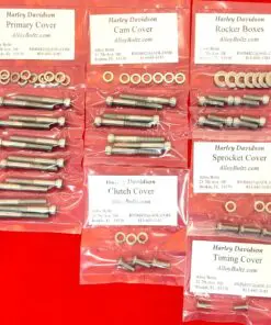 2000-2010 Buell Blast Polished Stainless Steel Allen Bolt Engine Kit Set