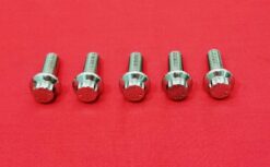 1981 & Up Polished Grade 8 ARP Stainless Rear Brake Rotor Bolt Kit