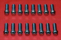 Set of 16 ARP 3/8 x 1 Header Bolts With 12pt Head