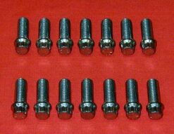 Set of 14 ARP 3/8 x 1 Header Bolts With 12pt Head