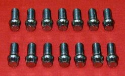 Set of 14 ARP 3/8 x 3/4 Header Bolts With 12pt Head
