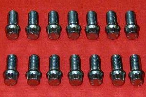 Set of 14 ARP 3/8 x 3/4 Header Bolts With 12pt Head