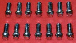 Set of 14 ARP 3/8 x 1 Header Bolts With 6pt Head