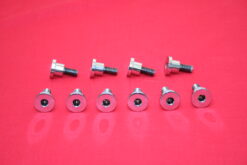 CVO Touring Polished Front Rotor Disc Style Bolt Kit