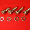 Suzuki LT250R Foot Peg Bolt Kit