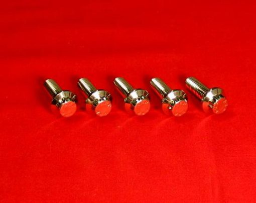 1984 & Up Show Polished Grade 8 SS Front Brake Rotor Kit