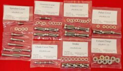 KAWASAKI 1998-2003 NINJA STREET FIGHTER ZX-9R ZX900 POLISHED STAINLESS STEEL ENGINE BOLT KIT