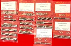 INDIAN 2015 & UP SCOUT Polished Stainless Steel Engine Bolt Kit Set