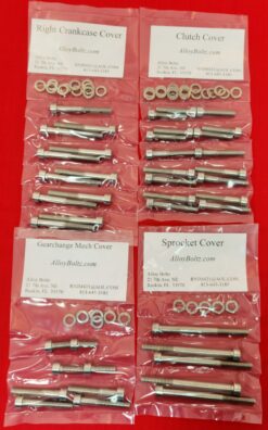 TRIUMPH 2001-2020 BONNEVILLE 800 & 865, 2008-20 SCRAMBLER 900 EFI, 2004-15 THRUXTON 900, 2002-20 T100 POLISHED STAINLESS STEEL ENGINE BOLT KIT
