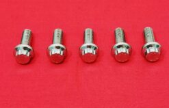 1984 & Up Softail Polished Grade 8 Stainless ARP Front Brake Rotor Bolt Kit