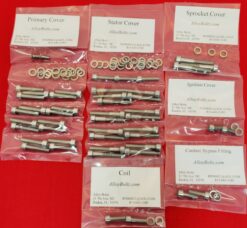 INDIAN 2019 & UP FTR1200 Polished Stainless Steel Engine Bolt Kit Set
