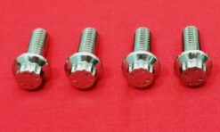 2017 & UP Touring Ultra Road King Street Glide Ultra Show Polished ARP Stainless 12Pt Fuel Tank Bolt Kit