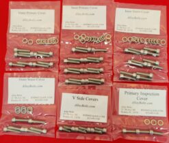 INDIAN 2020 & UP CHALLENGER SHOW POLISHED STAINLESS STEEL ENGINE BOLT KIT