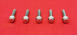 1998-2013 Touring Road Glide Polished Grade 8 ARP Stainless Fairing Windshield Bolt Kit