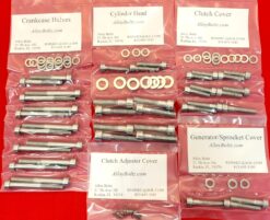 Harley Aermacchi AMF MX250 Polished Stainless Engine Bolt Screw Kit Set